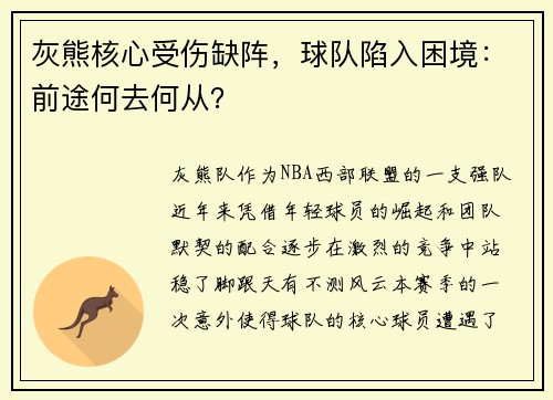 灰熊核心受伤缺阵，球队陷入困境：前途何去何从？